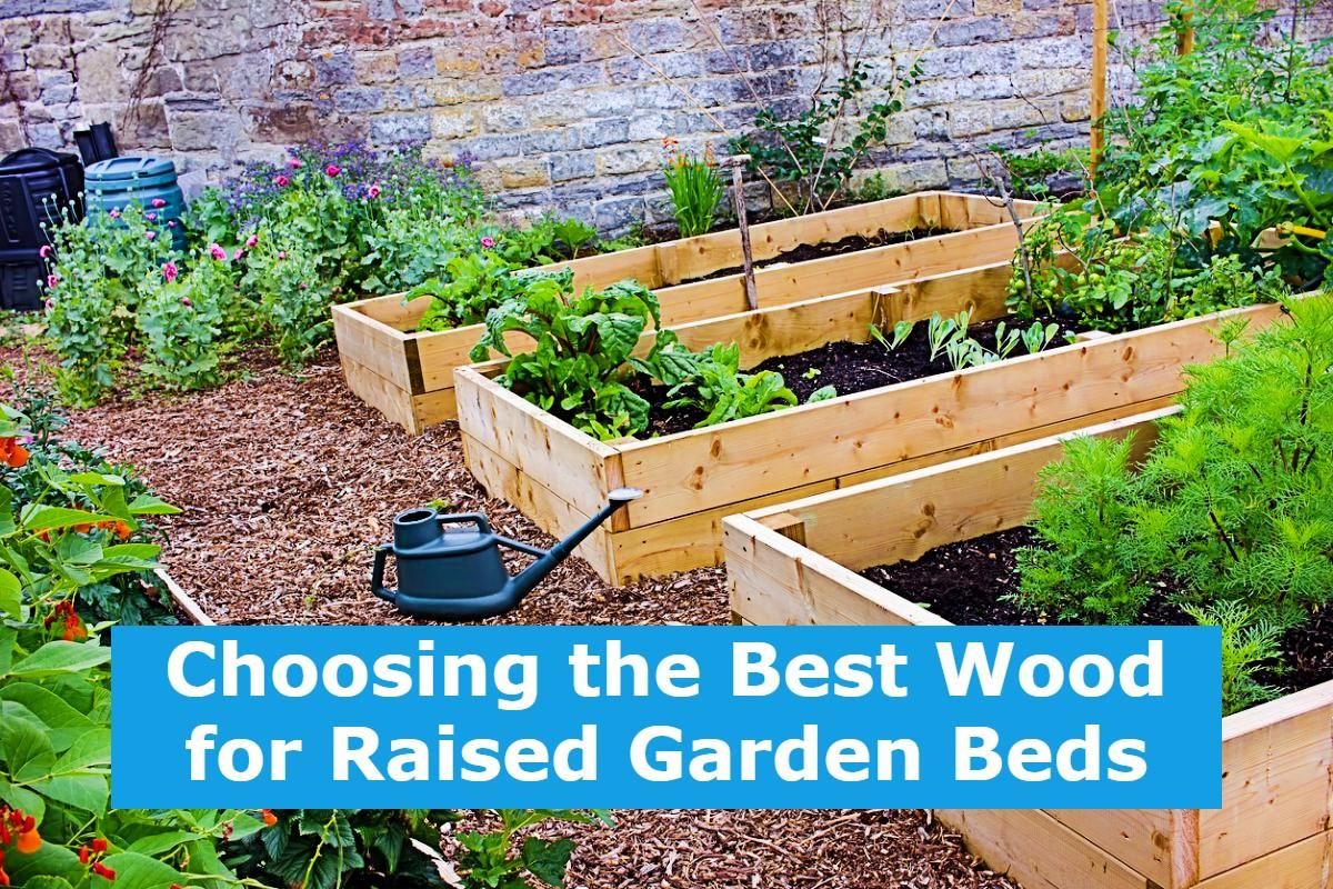 Choosing The Best Wood For Raised Garden Beds   Choosing The Best Wood For Raised Garden Beds 